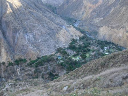 Oasis dans le canyon del Colca.JPG